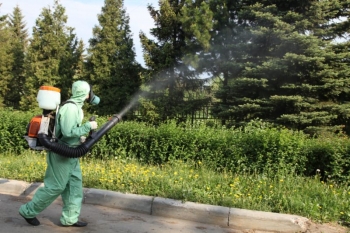 Уничтожение комаров в Ликино-Дулево