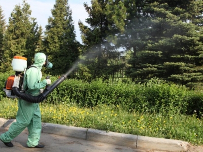 Уничтожение комаров в Ликино-Дулево